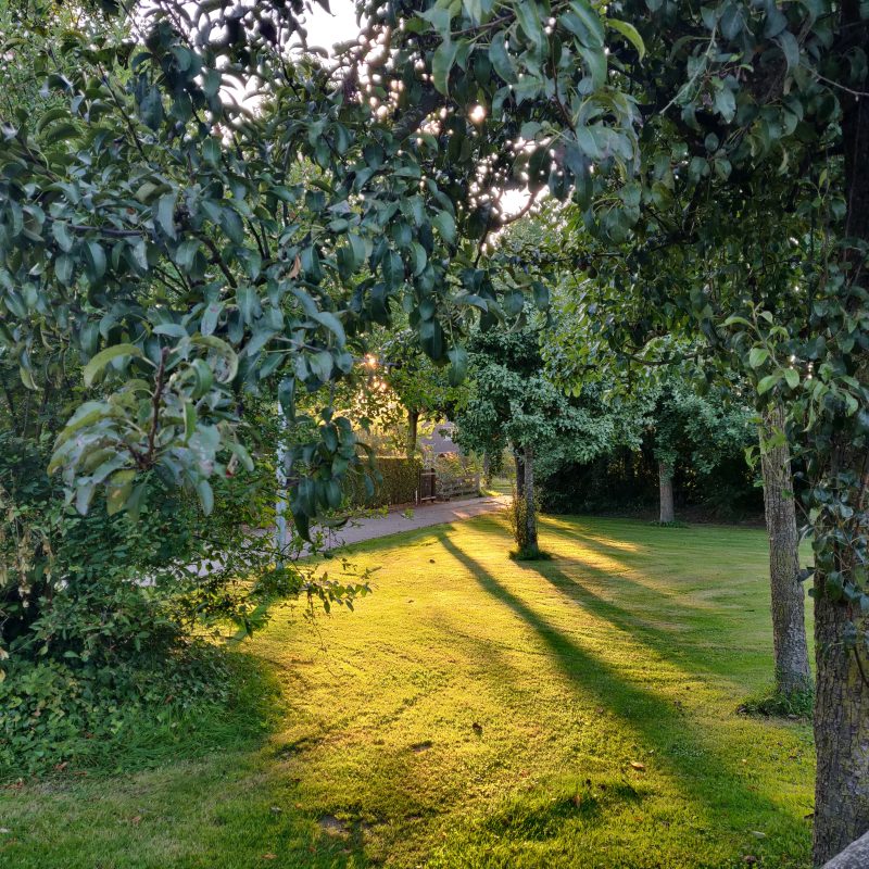 Hoeve de Mertel - Noord-Brabent - Open Camping Dag