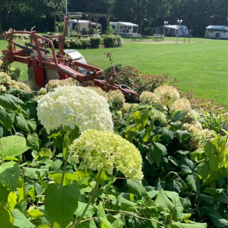 Camping de Kwaalburg - Noord Brabant - Open Camping Dag