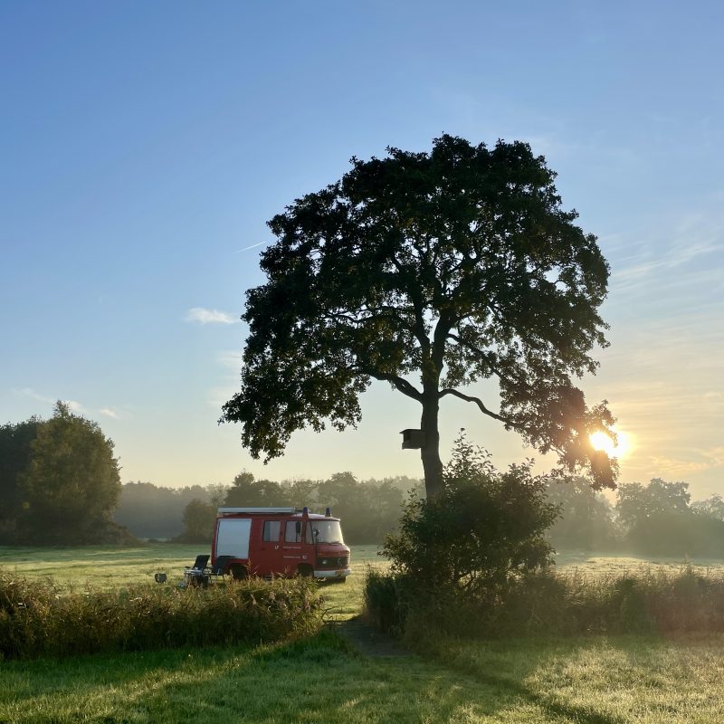 Minicamping De Frije Fries
