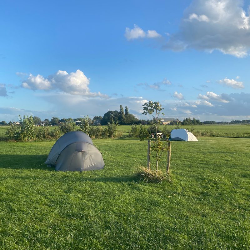 Sjaerdemahof - Friesland - Open Camping Dag