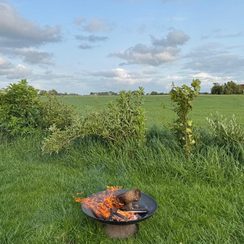 Sjaerdemahof - Friesland - Open Camping Dag